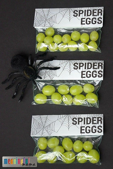 Spider Eggs Printable