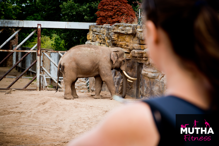 Discover Wild Worlds At Chester Zoo