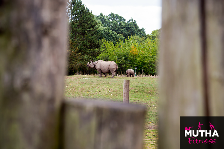 Discover Wild Worlds At Chester Zoo