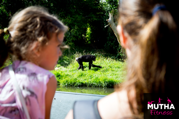 Discover Wild Worlds At Chester Zoo