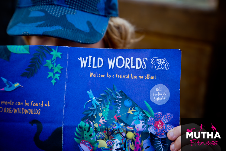 Discover Wild Worlds At Chester Zoo