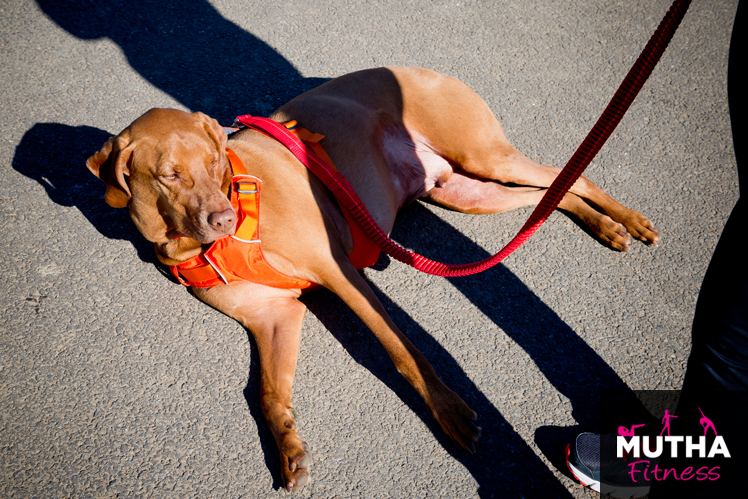 Running With Ruff Wear