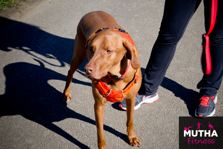 Running With Ruff Wear